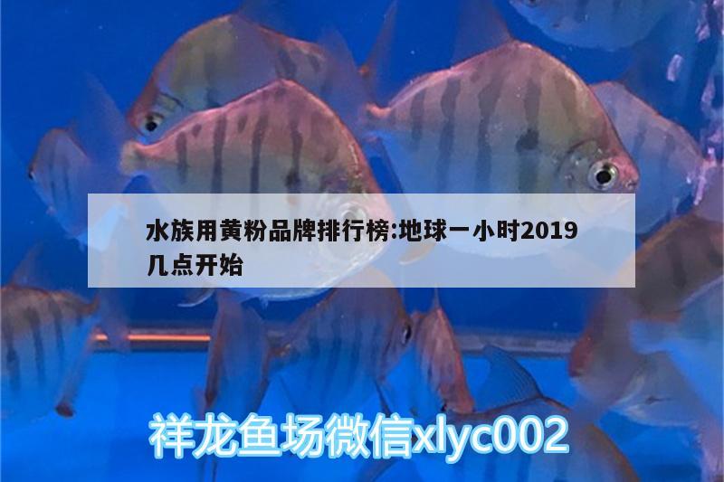 水族用黄粉品牌排行榜:地球一小时2019几点开始