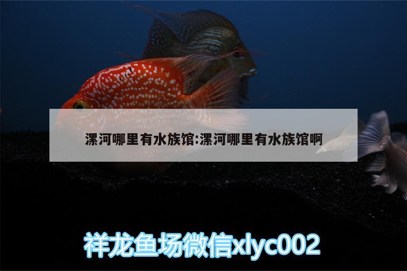 漯河哪里有水族馆:漯河哪里有水族馆啊 黑云鱼