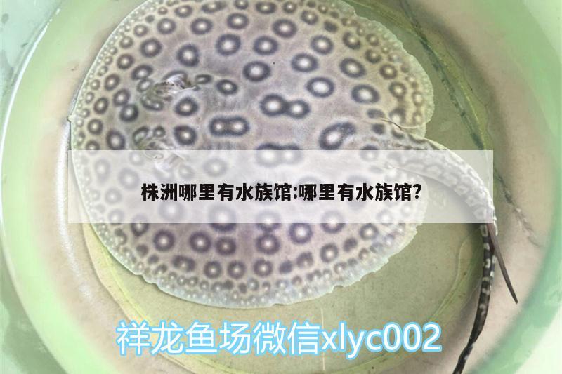 株洲哪里有水族馆:哪里有水族馆?