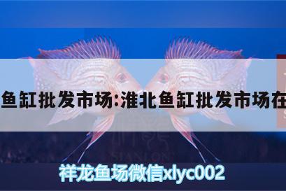 淮北鱼缸批发市场:淮北鱼缸批发市场在哪里 黄鳍鲳鱼