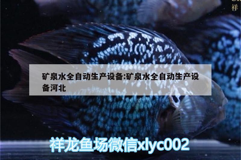 矿泉水全自动生产设备:矿泉水全自动生产设备河北