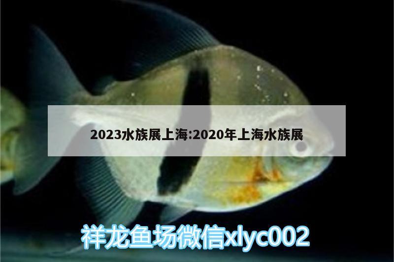 2023水族展上海:2020年上海水族展 水族展会