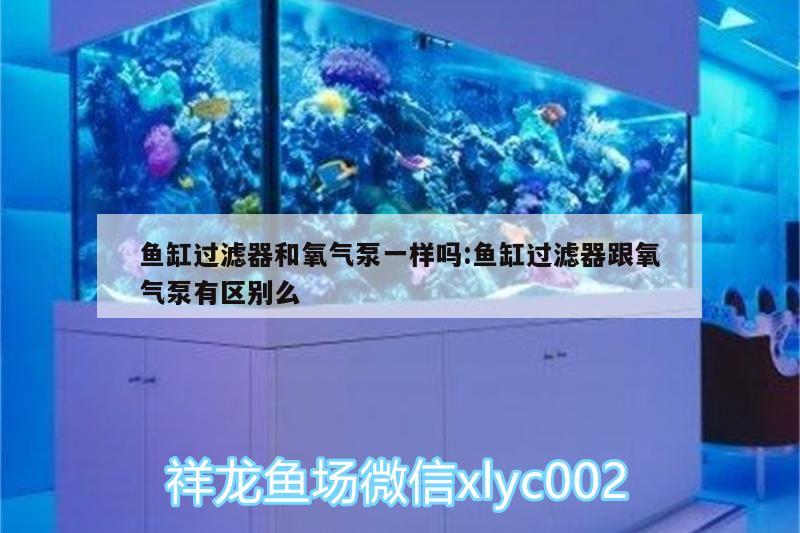 鱼缸过滤器和氧气泵一样吗:鱼缸过滤器跟氧气泵有区别么