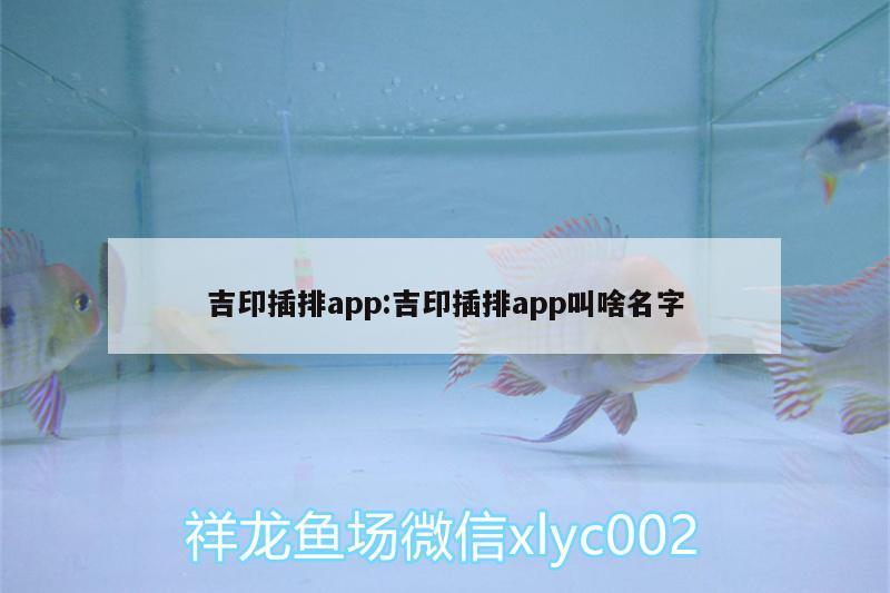 吉印插排app:吉印插排app叫啥名字