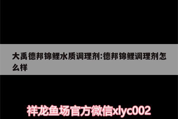 大禹德邦锦鲤水质调理剂:德邦锦鲤调理剂怎么样