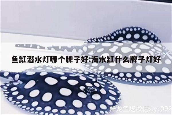 鱼缸潜水灯哪个牌子好:海水缸什么牌子灯好