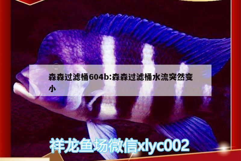 森森过滤桶604b:森森过滤桶水流突然变小 除藻剂