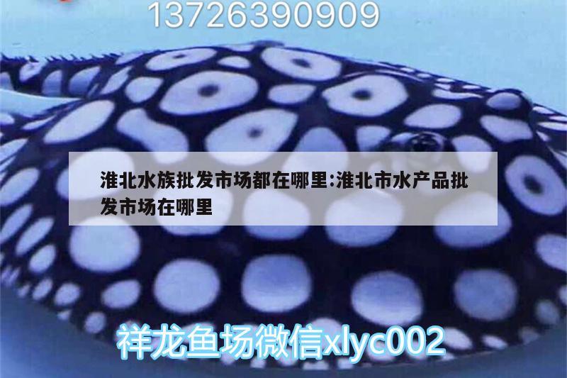 淮北水族批发市场都在哪里:淮北市水产品批发市场在哪里 观赏鱼水族批发市场