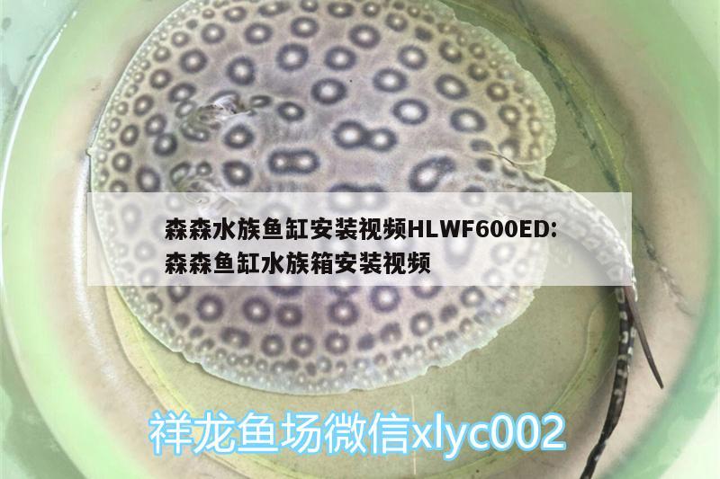 森森水族鱼缸安装视频HLWF600ED:森森鱼缸水族箱安装视频 鱼缸/水族箱