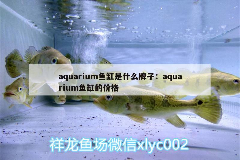 aquarium鱼缸是什么牌子:aquarium鱼缸的价格