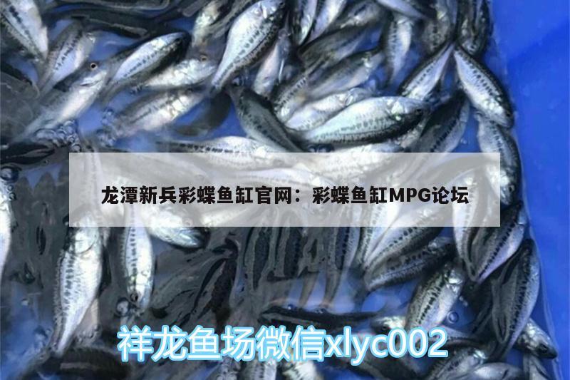 龙潭新兵彩蝶鱼缸官网:彩蝶鱼缸MPG论坛