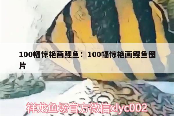 100幅惊艳画鲤鱼:100幅惊艳画鲤鱼图片 委内瑞拉奥里诺三间鱼苗