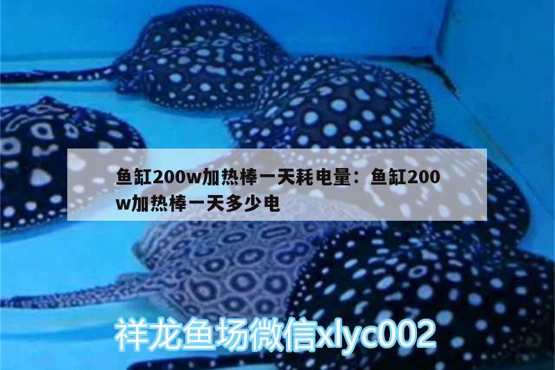 鱼缸200w加热棒一天耗电量:鱼缸200w加热棒一天多少电 大正锦鲤鱼