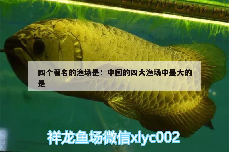四个著名的渔场是:中国的四大渔场中最大的是 眼斑鱼 第1张