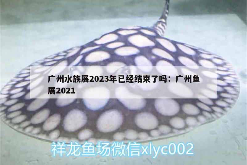 广州水族展2023年已经结束了吗:广州鱼展2021 水族展会