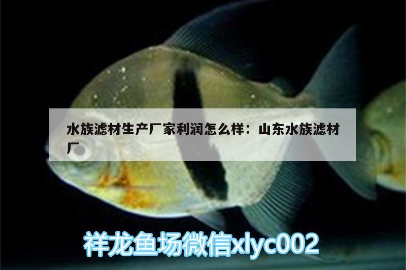 水族滤材生产厂家利润怎么样:山东水族滤材厂 祥龙鱼场品牌产品