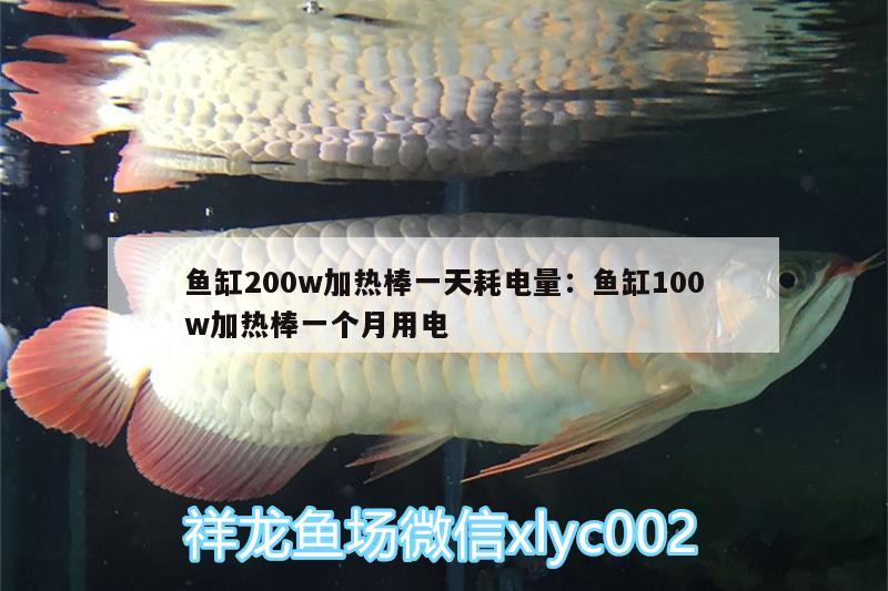 鱼缸200w加热棒一天耗电量:鱼缸100w加热棒一个月用电 黑水素