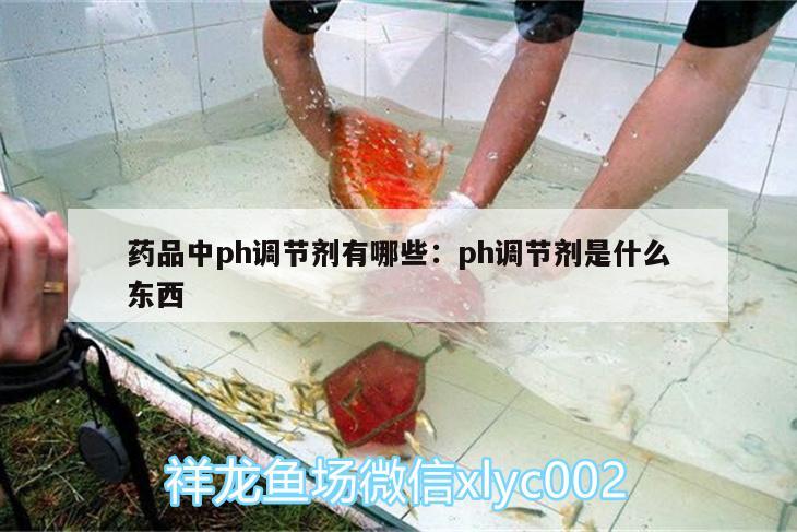 药品中ph调节剂有哪些:ph调节剂是什么东西 大正锦鲤鱼