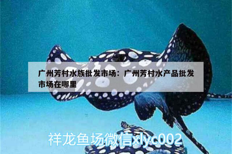 广州芳村水族批发市场:广州芳村水产品批发市场在哪里