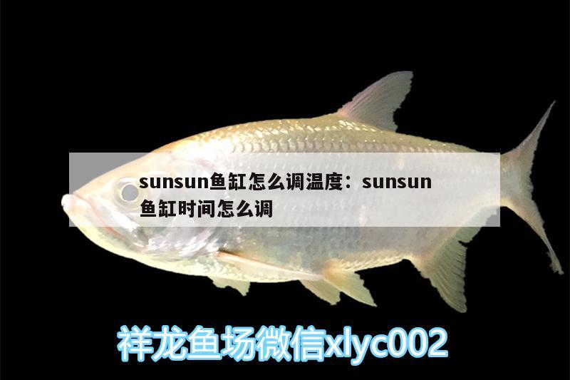 sunsun鱼缸怎么调温度:sunsun鱼缸时间怎么调 黄金鸭嘴鱼