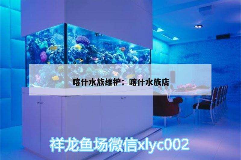 喀什水族维护:喀什水族店