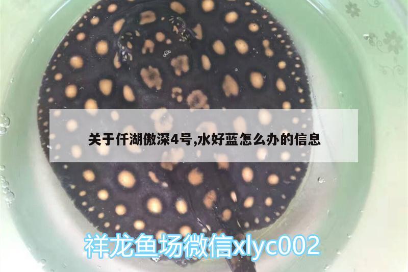 关于仟湖傲深4号,水好蓝怎么办的信息