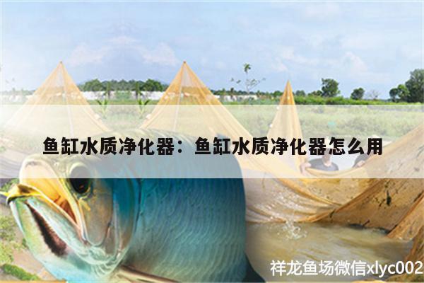 鱼缸水质净化器:鱼缸水质净化器怎么用 祥龙龙鱼专用水族灯