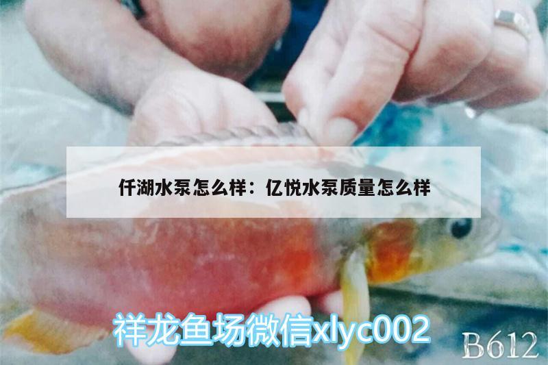 仟湖水泵怎么样:亿悦水泵质量怎么样