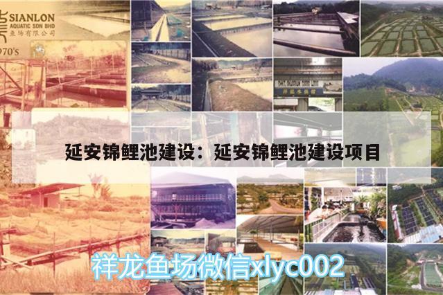 延安锦鲤池建设:延安锦鲤池建设项目