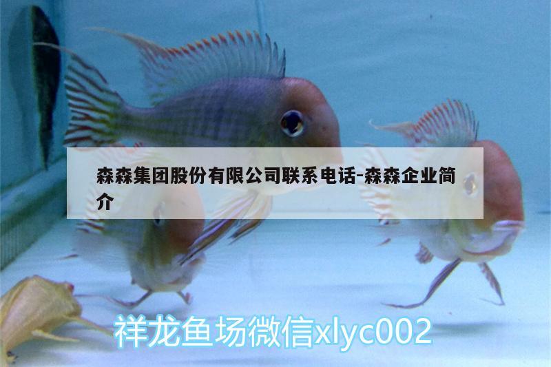 森森集团股份有限公司联系电话:森森企业简介 细线银版鱼