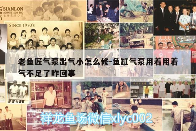 老鱼匠气泵出气小怎么修:鱼缸气泵用着用着气不足了咋回事