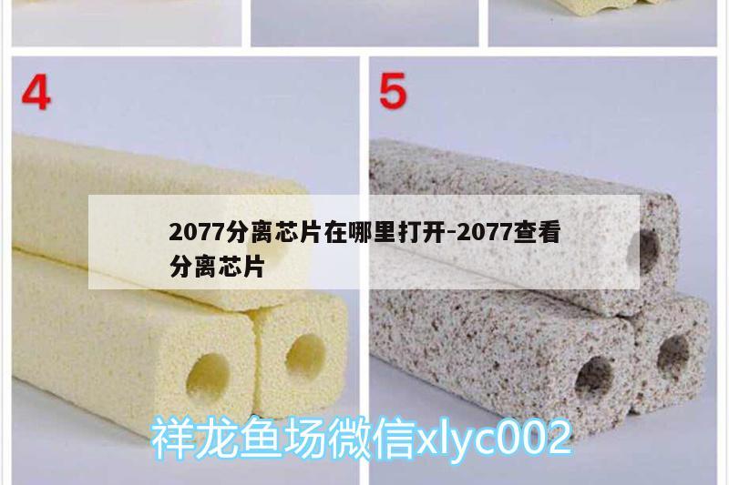 2077分离芯片在哪里打开:2077查看分离芯片