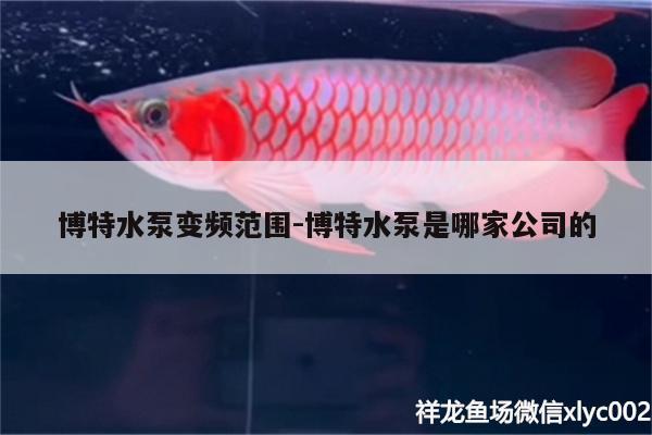 博特水泵变频范围:博特水泵是哪家公司的