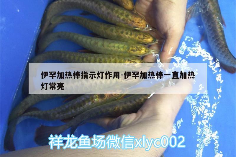 伊罕加热棒指示灯作用:伊罕加热棒一直加热灯常亮 伊罕水族