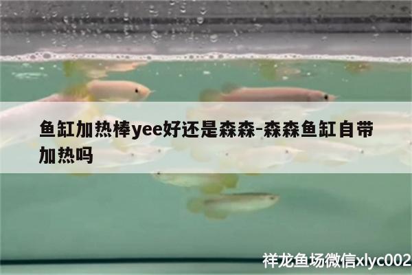 鱼缸加热棒yee好还是森森:森森鱼缸自带加热吗 yee