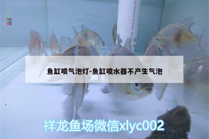 鱼缸喷气泡灯:鱼缸喷水器不产生气泡