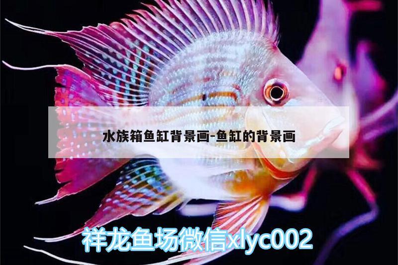 水族箱鱼缸背景画:鱼缸的背景画 鱼缸/水族箱