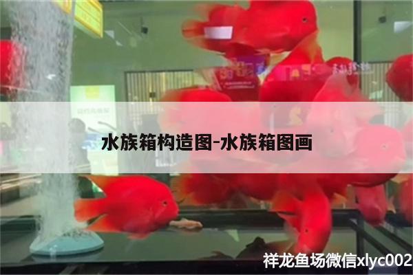 水族箱构造图:水族箱图画