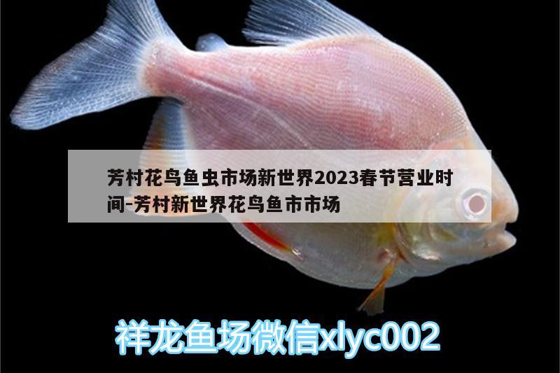 芳村花鸟鱼虫市场新世界2023春节营业时间:芳村新世界花鸟鱼市市场