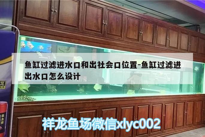 鱼缸过滤进水口和出社会口位置:鱼缸过滤进出水口怎么设计 斑马鸭嘴鱼