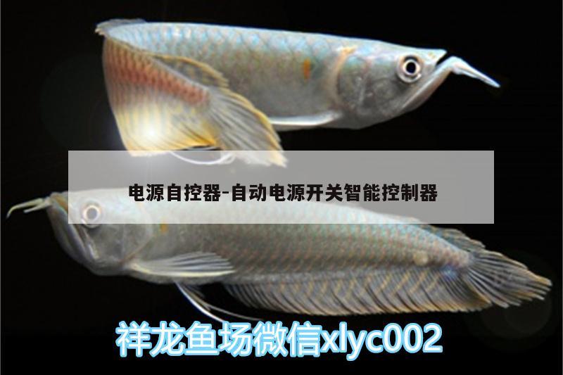 电源自控器:自动电源开关智能控制器 其它水族用具设备