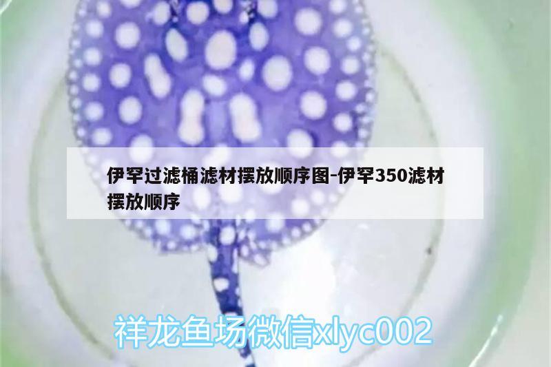 伊罕过滤桶滤材摆放顺序图:伊罕350滤材摆放顺序