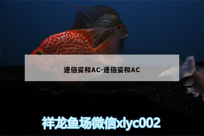 速倍妥和AC:速倍妥和AC