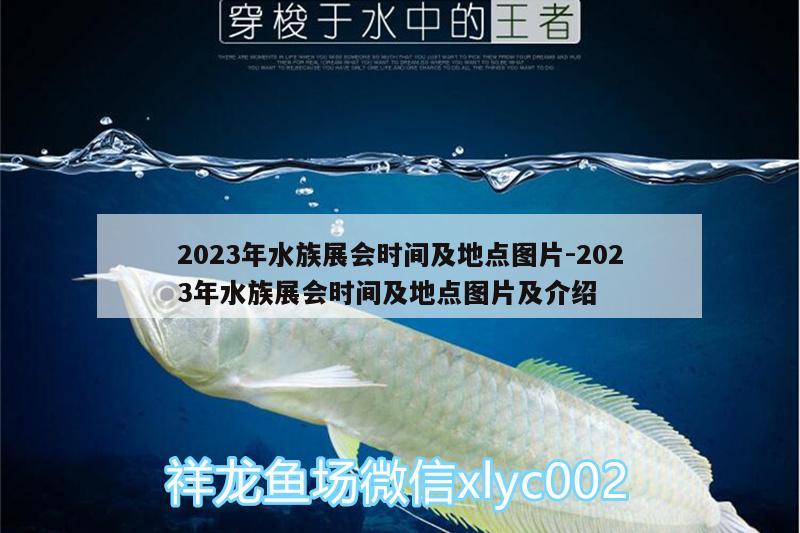 2023年水族展会时间及地点图片:2023年水族展会时间及地点图片及介绍 水族展会