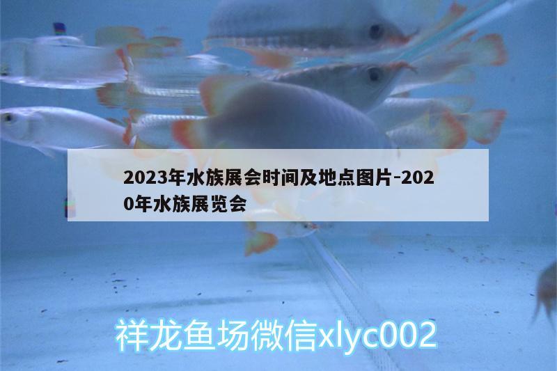 2023年水族展会时间及地点图片:2020年水族展览会 水族展会