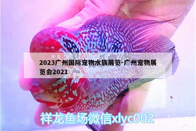 2023广州国际宠物水族展览:广州宠物展览会2021 水族展会