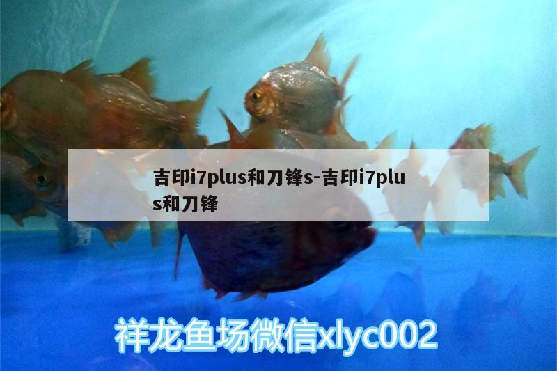 吉印i7plus和刀锋s:吉印i7plus和刀锋 吉印水族