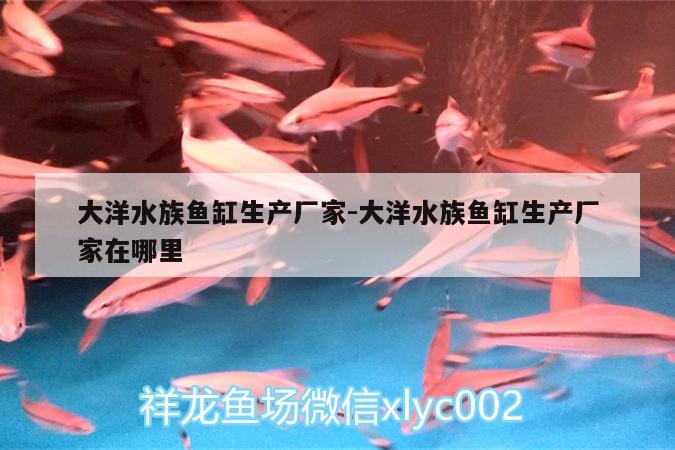 大洋水族鱼缸生产厂家:大洋水族鱼缸生产厂家在哪里