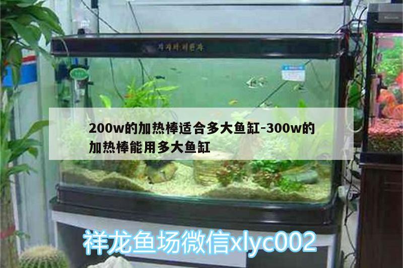 200w的加热棒适合多大鱼缸:300w的加热棒能用多大鱼缸