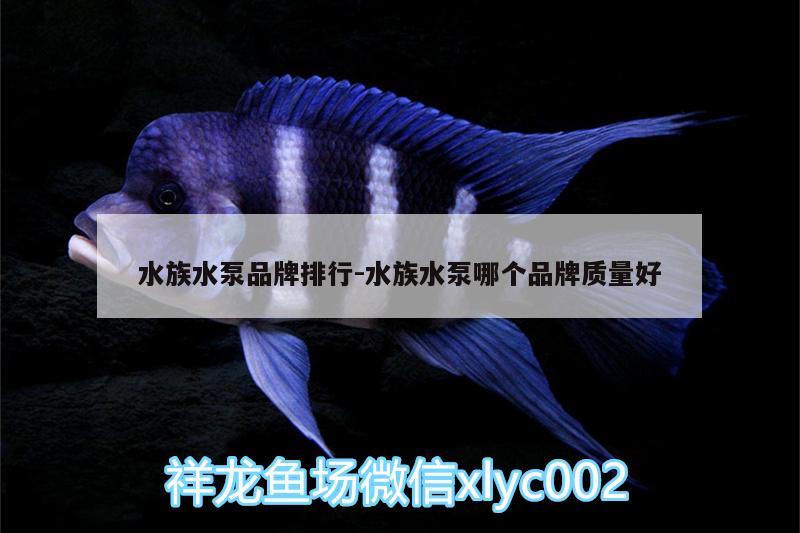 水族水泵品牌排行:水族水泵哪个品牌质量好